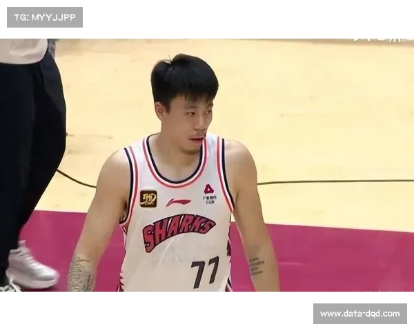 上海男篮签下张镇麟与弗格，锋线升级剑指总冠军